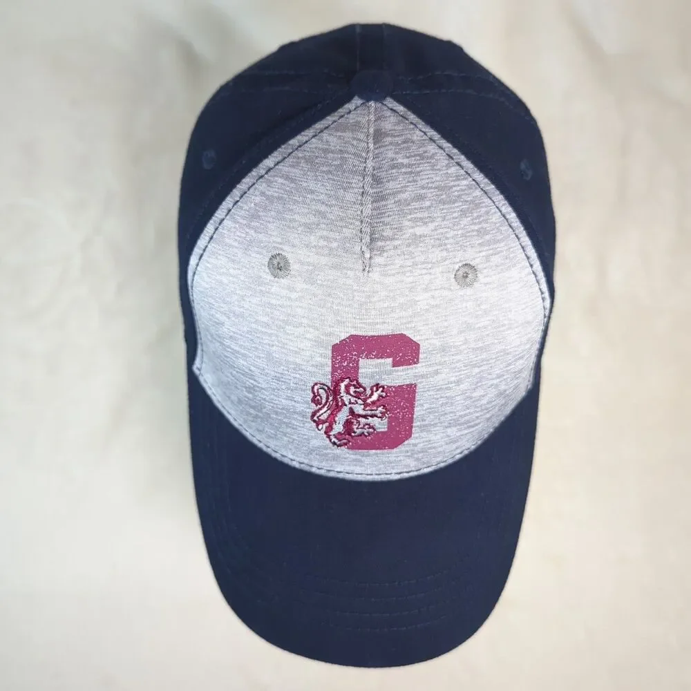Harry Potter Gryffindor Hat Youth Strap Back Adjustable Gray/Navy Cap 2018